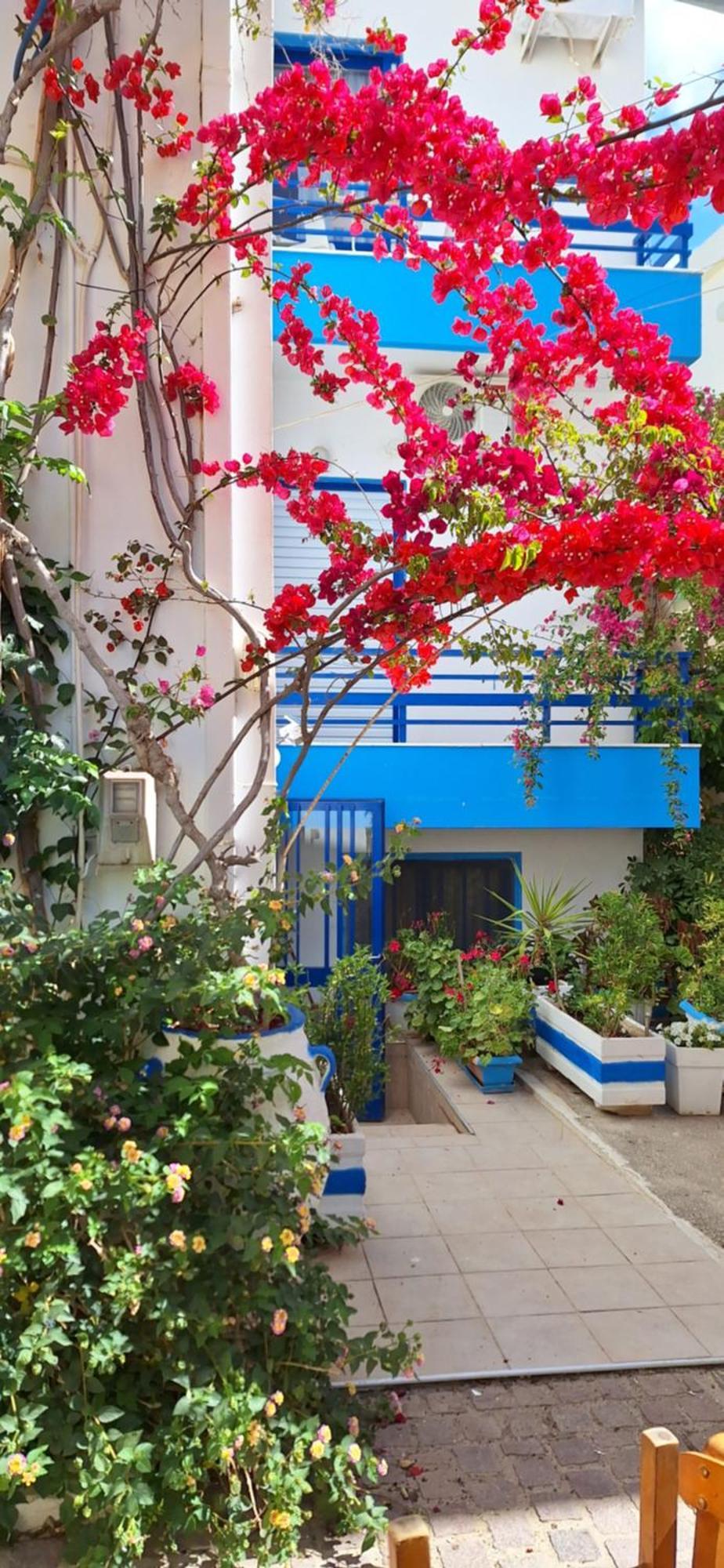 Blue Sky Apartment Палиохора Екстериор снимка